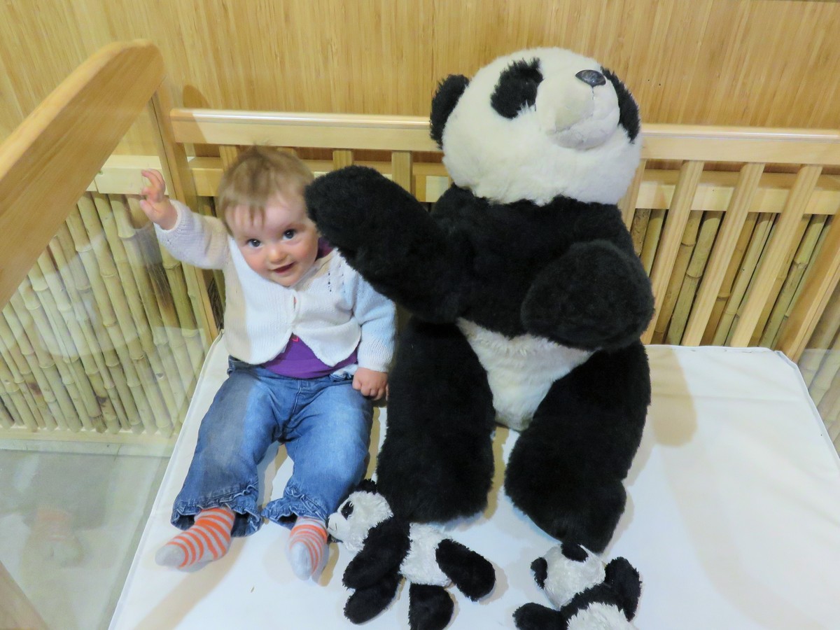 Baby in cot with a toy panda.