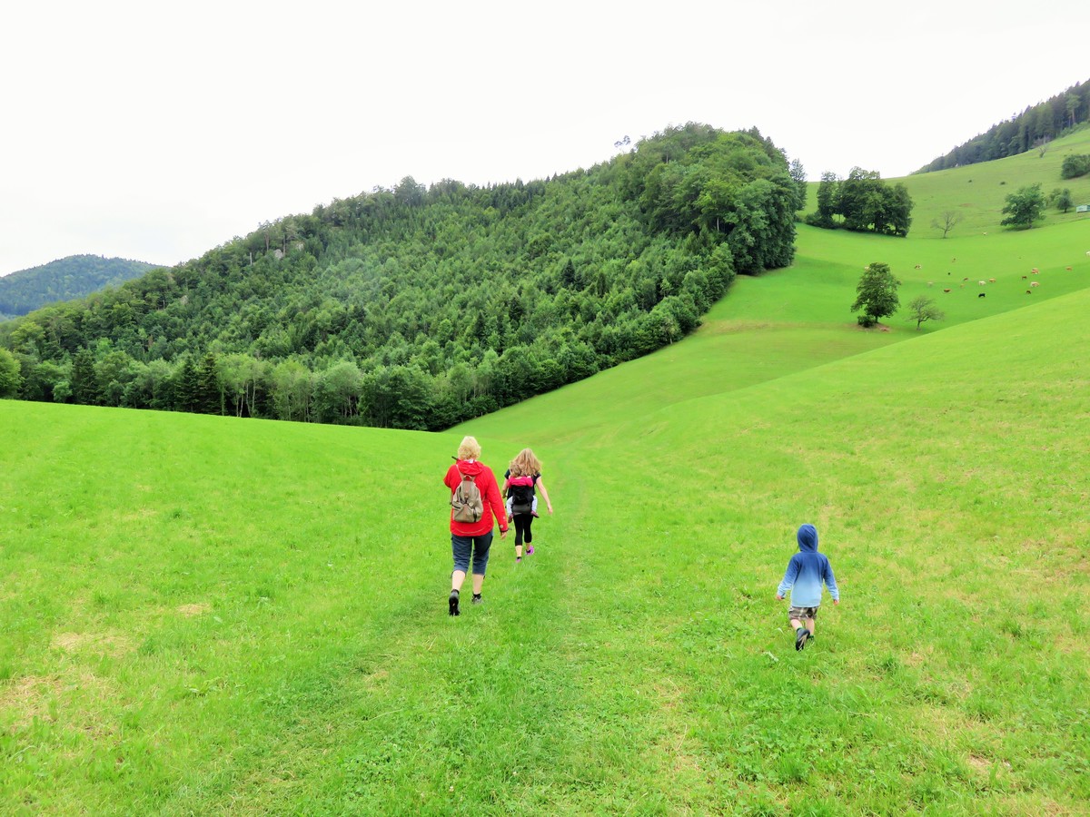 Family hiking in the Swiss hills