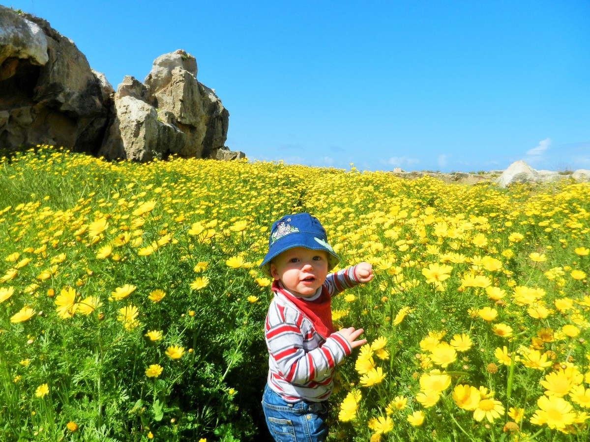 Toddler walking amongst flowers towards the Tomb of the Kings