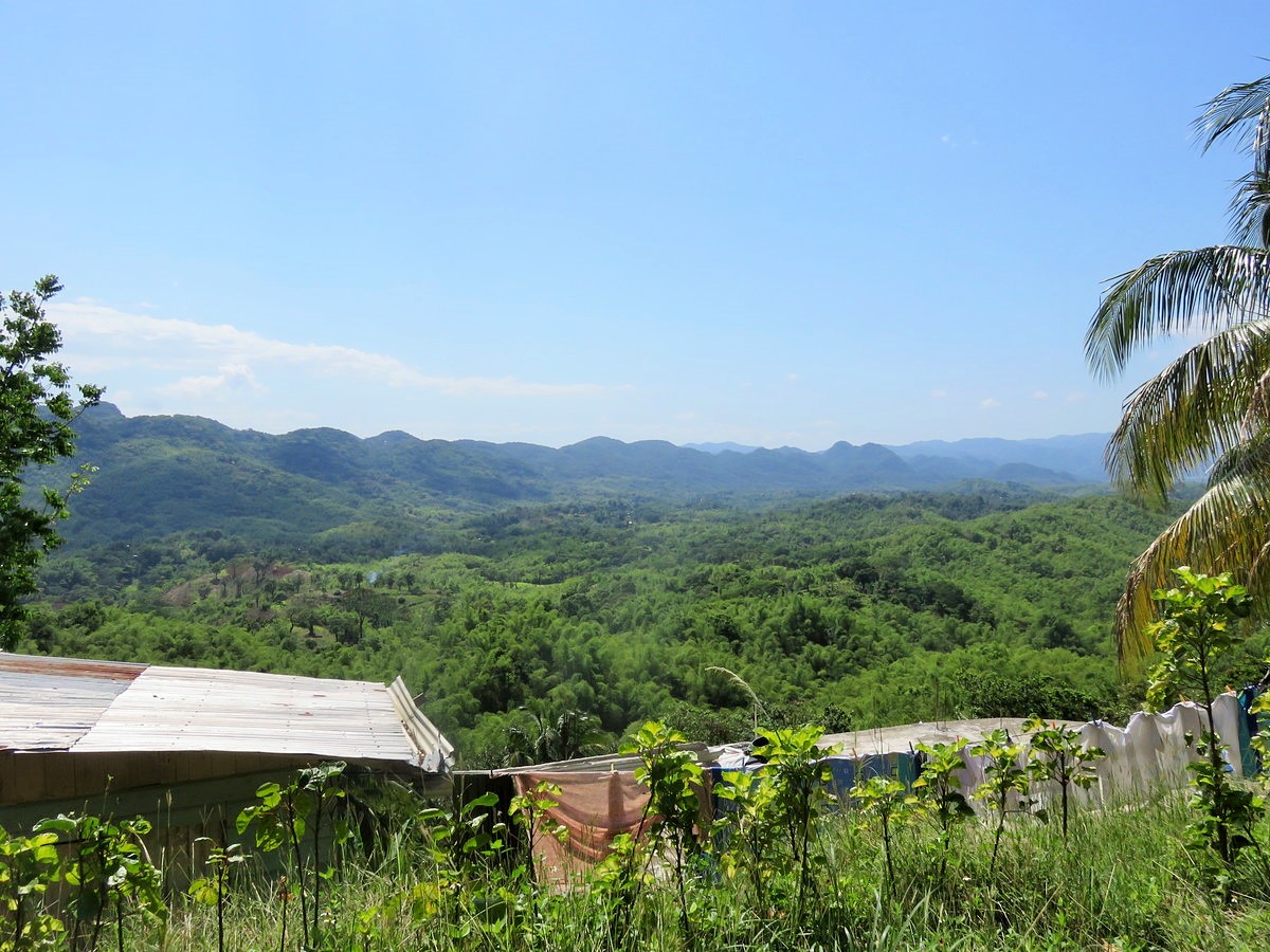 Jamaica_Countryside