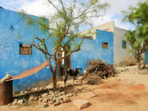 Cape_Verde_Boa_Vista_Rustic