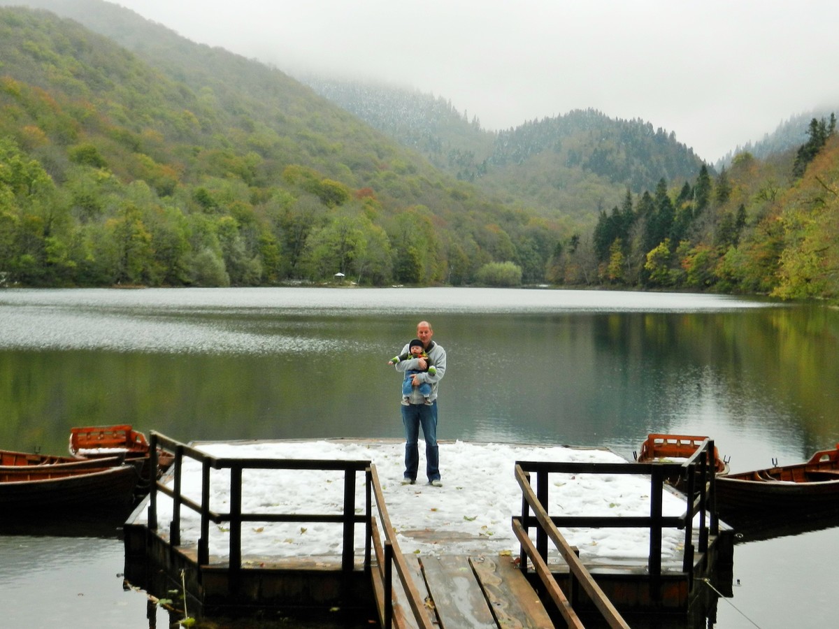 Primeval forest in Montenegro