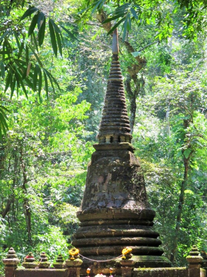 Stupor in Namtok Phlio National Park.