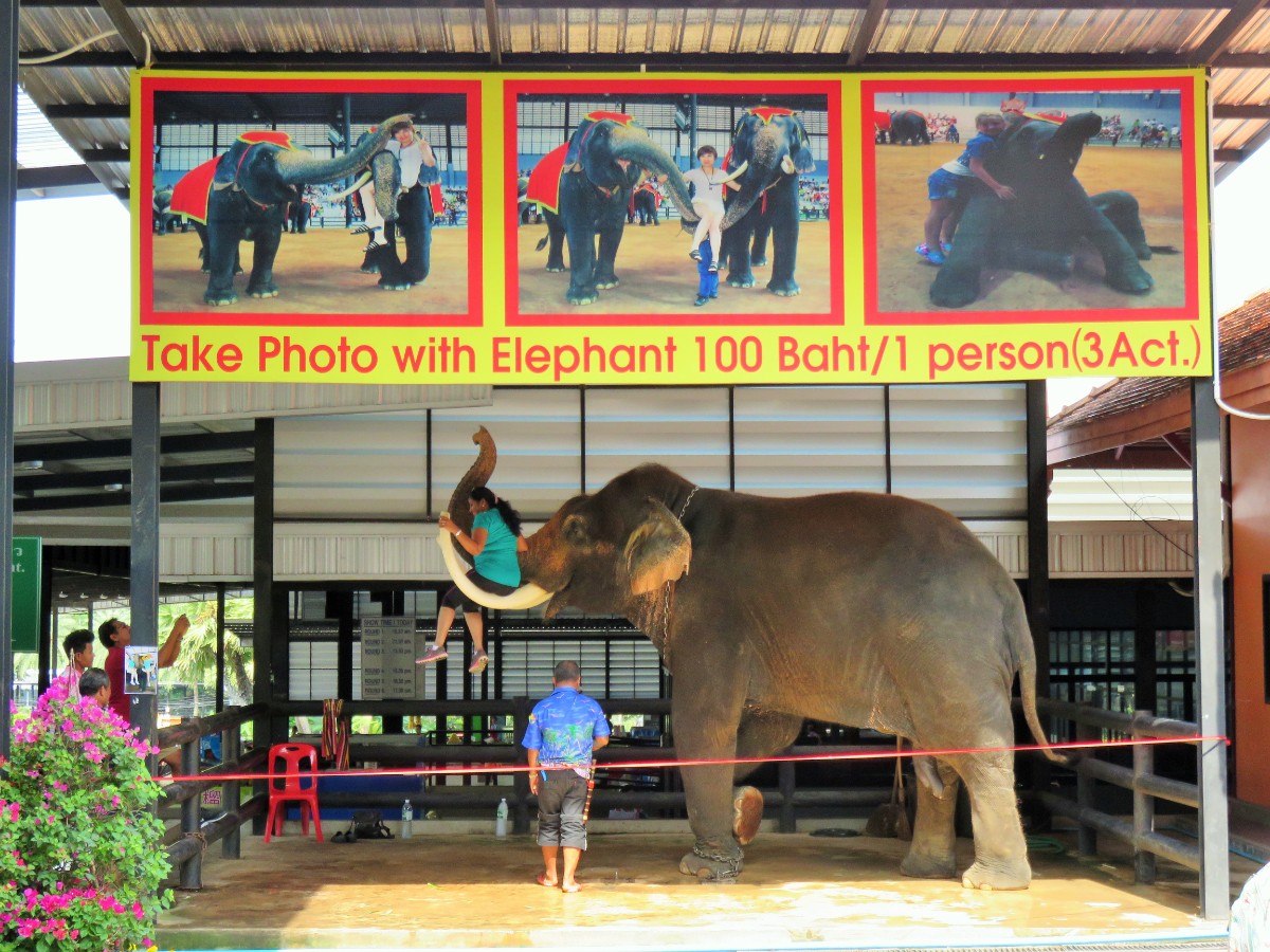 Sign for taking photo with elephant at Nong Nooch tropical garden in Pattaya, Thailand