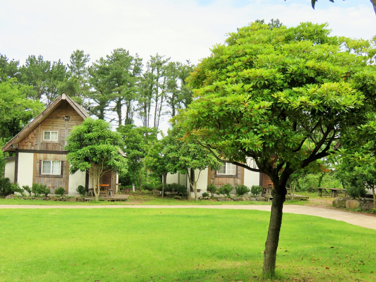Why Jeju Islands Log Cabins Are Perfect For Families - 