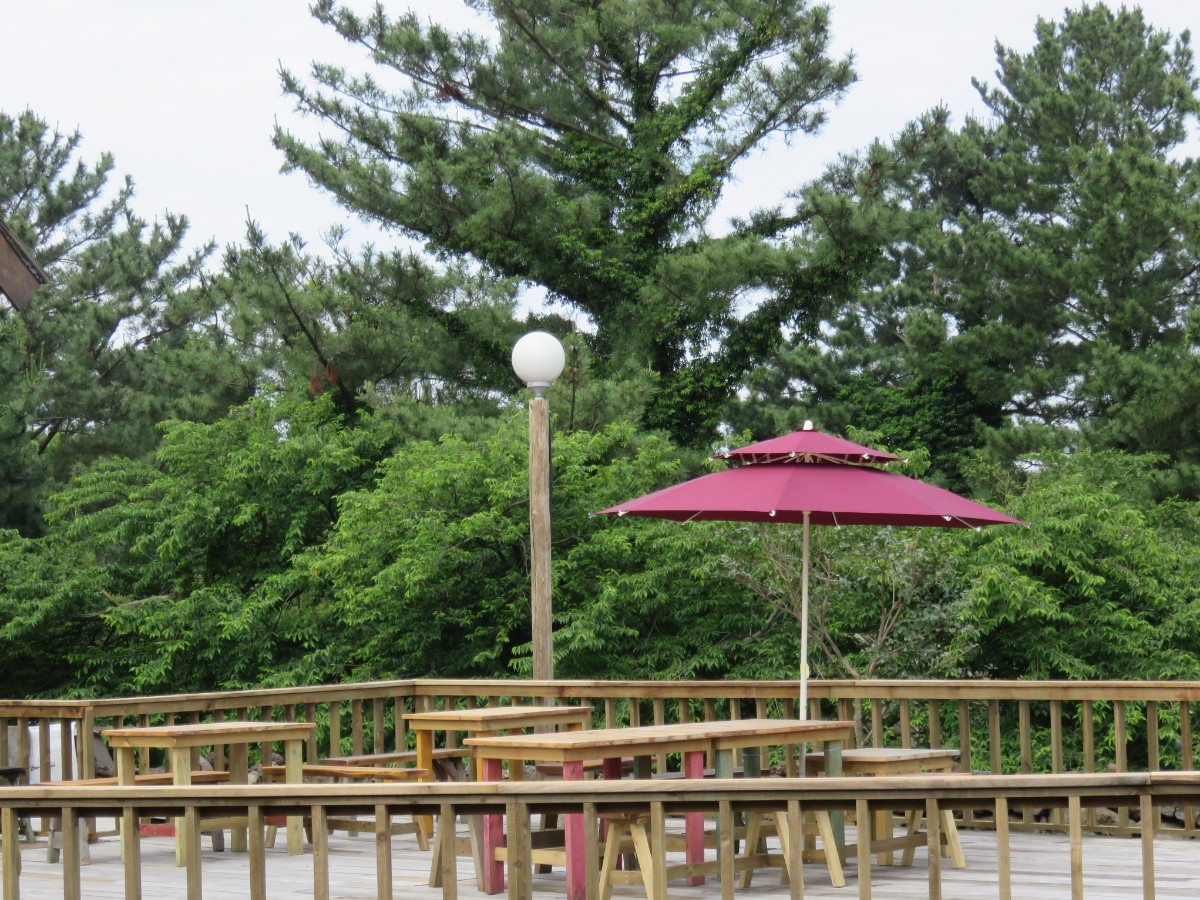 outdoor tables at Logpark Jeju