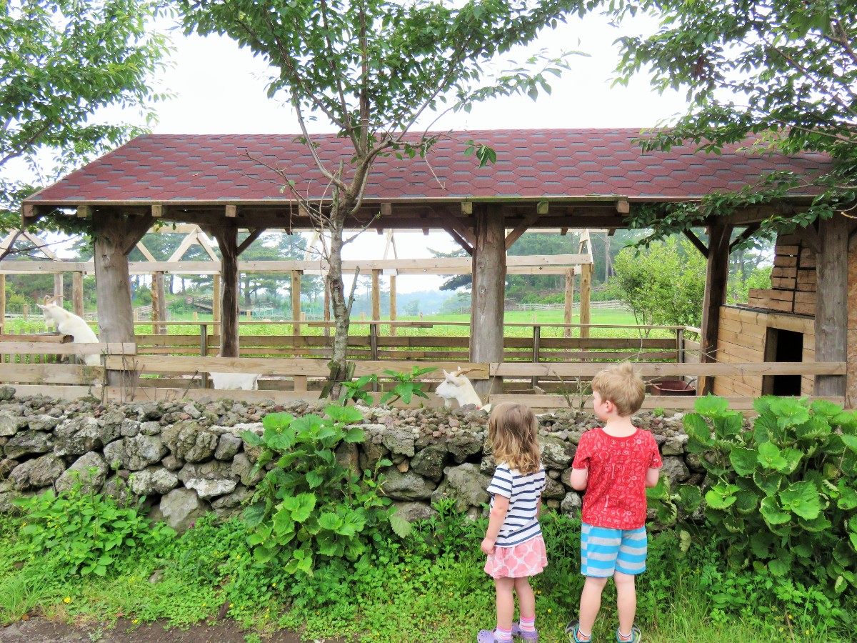 Kids at farm Jeju Island