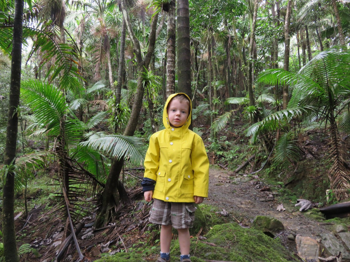 toddler in el yunque rainforest puerto rico
