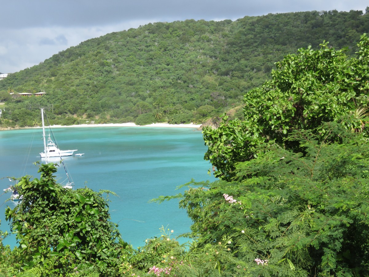 scenery in US Virgin Islands