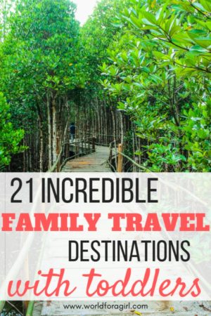 21 incredible family travel destinations pin