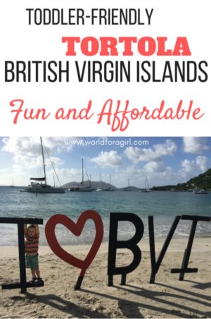BVI with toddlers pin