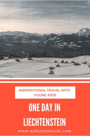 one day in liechtenstein pin