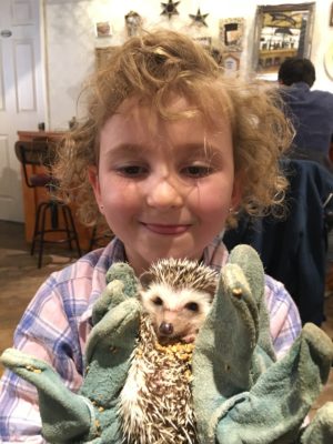 sightseeing with kids hedgehog cafe in Japan