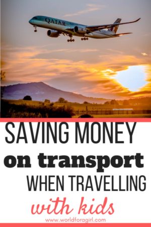 saving money on transport pin