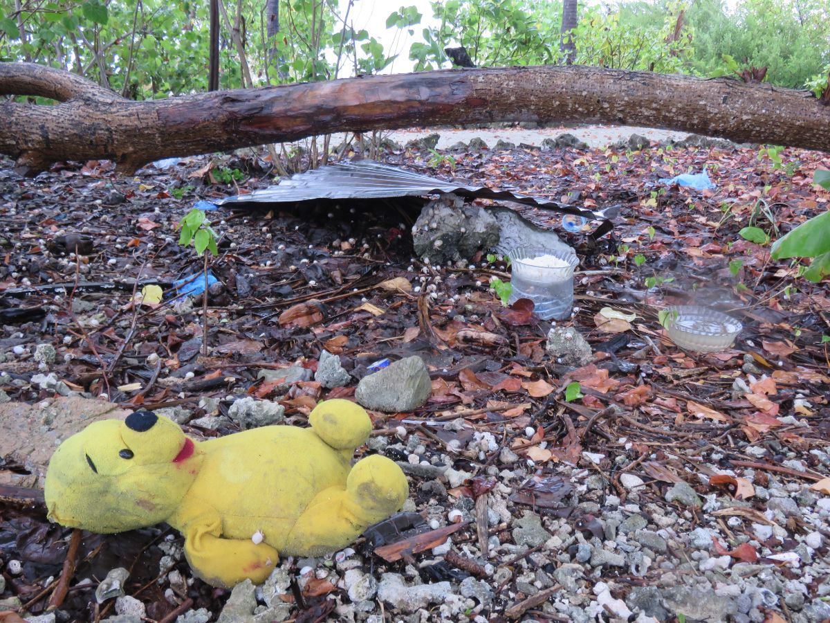 litter on an uninhabited island is the Maldives