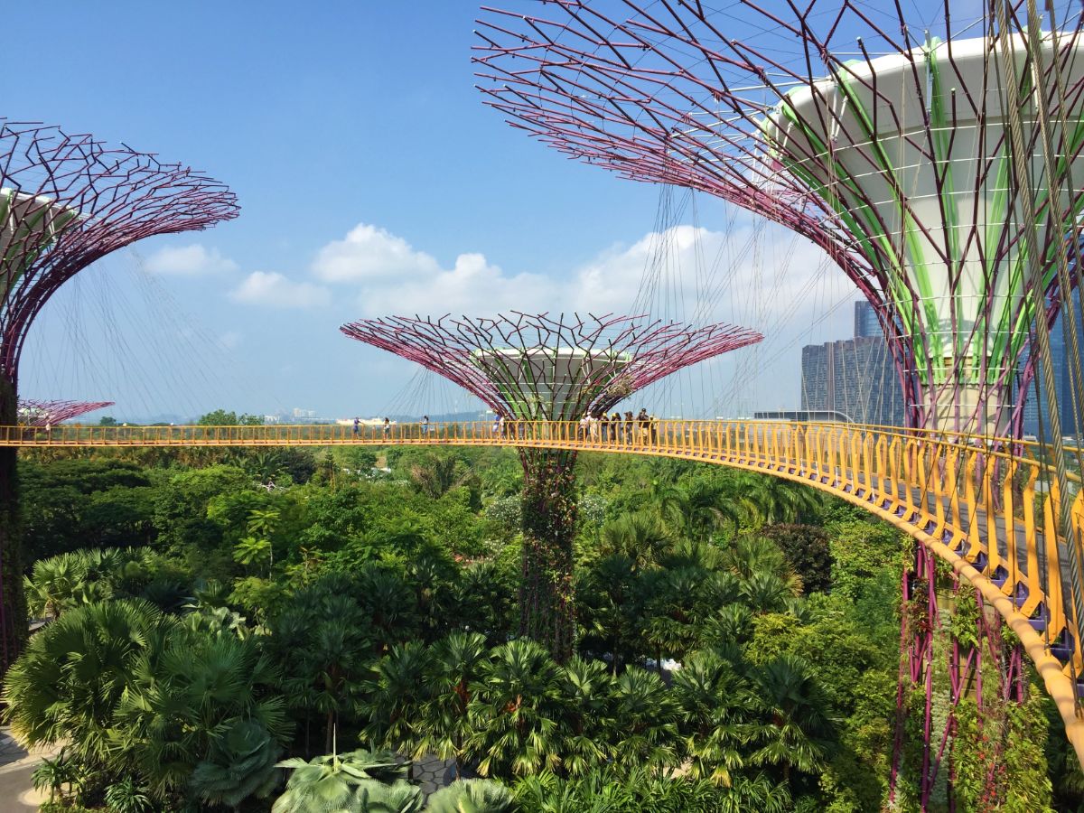 view of supertrees from walkway Singapore