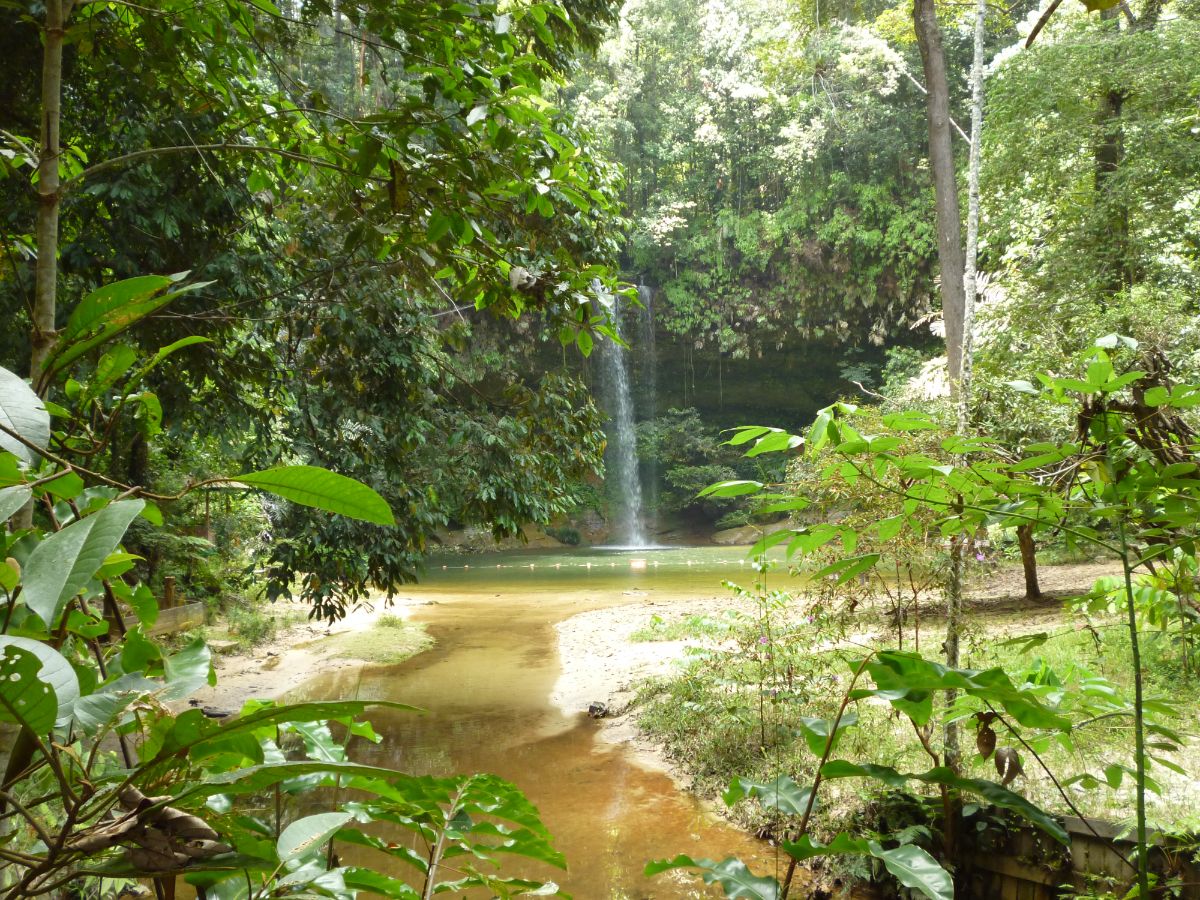 Natural swimming pools are everywhere in Lambir Hills, Sarawak