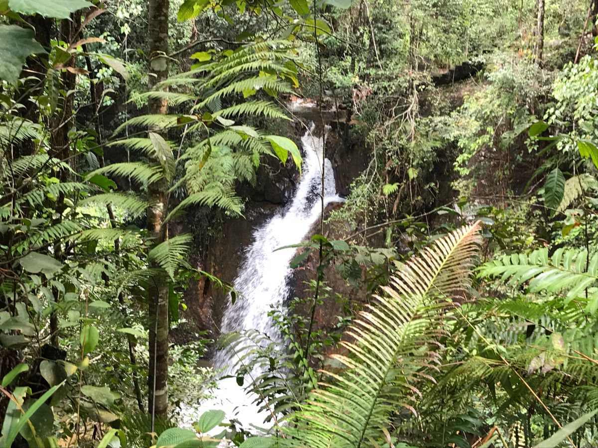 Jeriau Watefall near Bukit Fraser