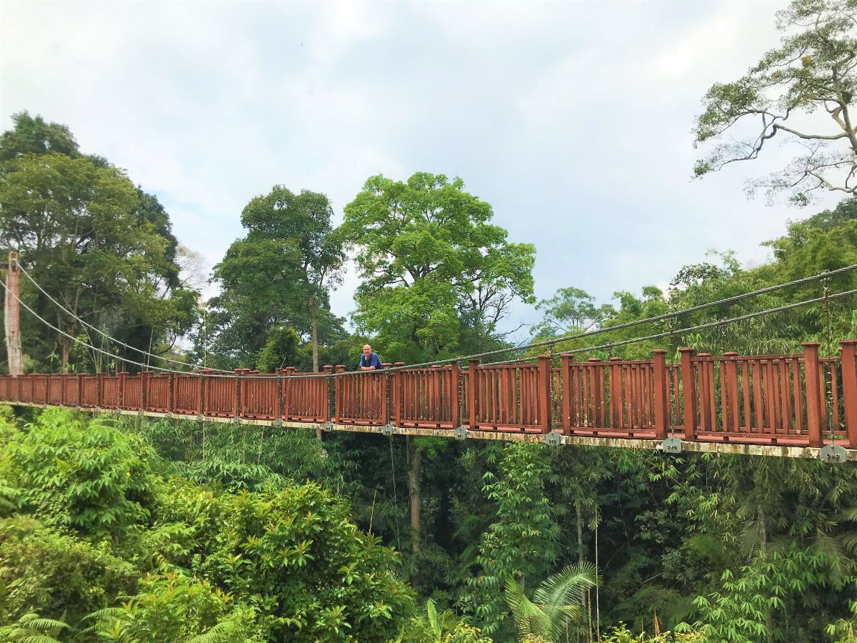 suspension bridge near Fraser's Hill