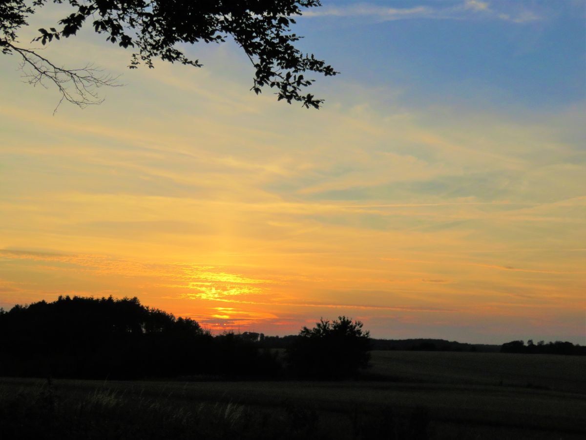 sunset across fields in Denmark