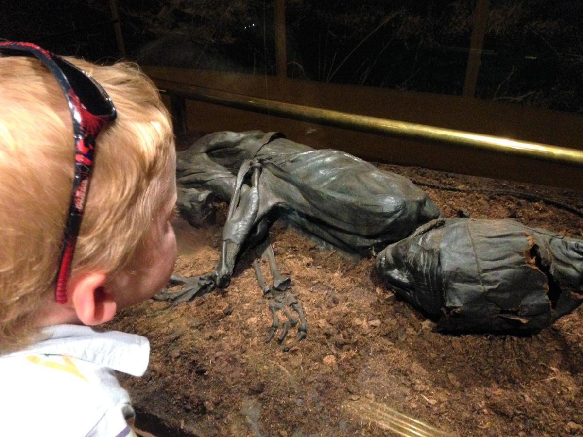 toddler looking at the body of Tollund Man in Silkeborg Denmark