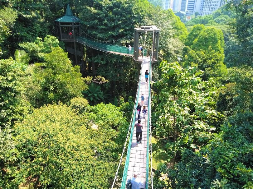 KL Forest Eco Park canopy walkway
