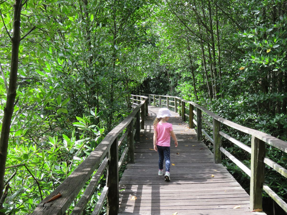 girl walking in Kota Kinabalu Wetland Ramsar Site.